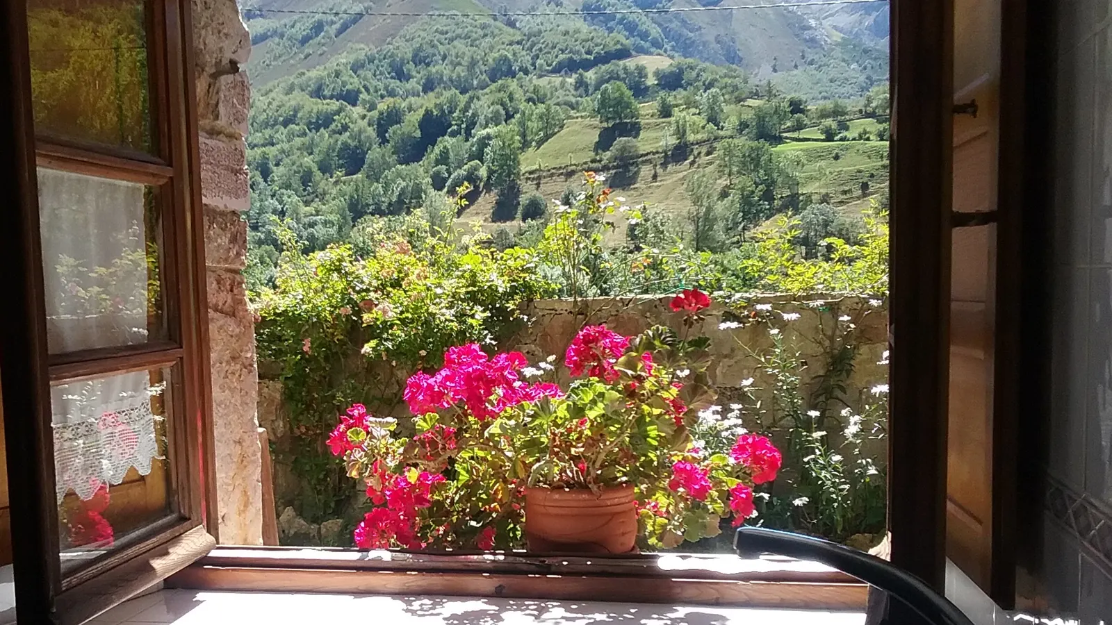 Ventana con flores