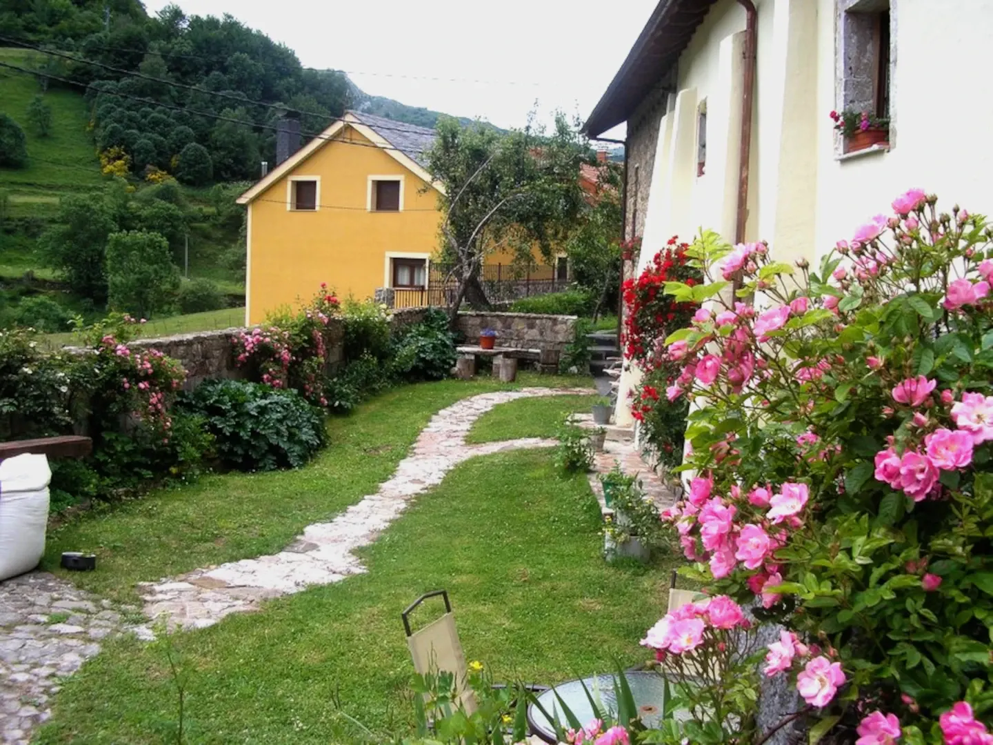 Jardín con flores